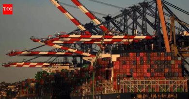 जास्त मालवाहतूक खर्च, विम्याच्या प्रीमियमचा फटका निर्यातदारांना बसतो