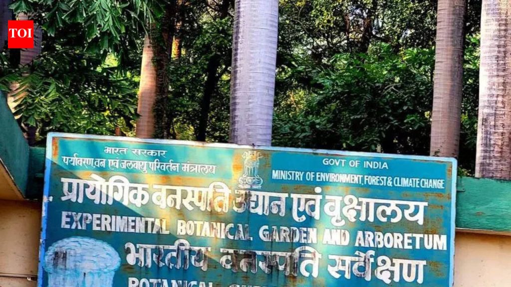 मुंढवा जमीन व्यवहार: अमेडियाच्या अपिलाची पुढील सुनावणी ६ एप्रिलला