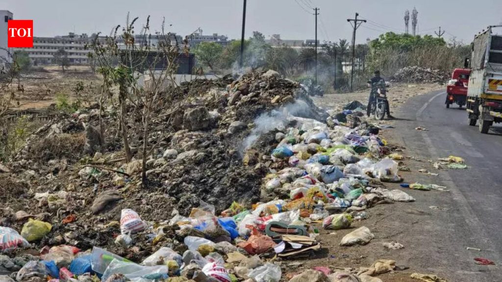 चाकण नगरपरिषदेने श्वान निवारा विस्तार, सामूहिक लसीकरण आणि महिलेच्या मृत्यूनंतर नसबंदीची योजना आखली आहे.
