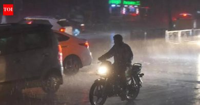 महामध्ये पावसामुळे झालेल्या दुर्घटनेत चार जणांचा मृत्यू; 28 जिल्ह्यांमध्ये 64,573 हेक्टरवरील पिकांचे आणि फळांचे नुकसान झाले आहे