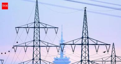 परिसरातील वीज समस्यांविरोधात वाघोलीवासीयांनी ऑनलाइन याचिका सुरू केली आहे