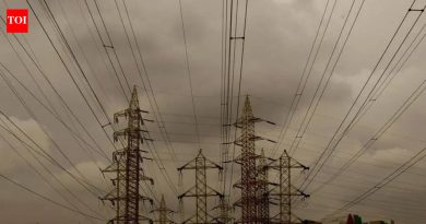 पिंपरी चिंचवडमध्ये वारंवार वीजपुरवठा खंडित, मेट्रोच्या कामात पाऊस आणि केबल खराब झाल्याचा आरोप महावितरणच्या अधिकाऱ्यांनी केला आहे.