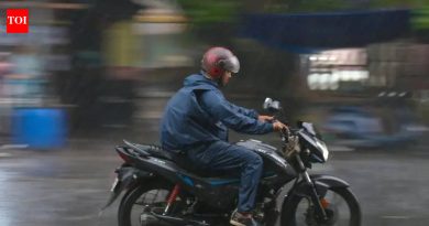 आजपासून पाऊस कमी होईल, उद्यापासून हवामान कोरडे राहण्याची शक्यता आहे