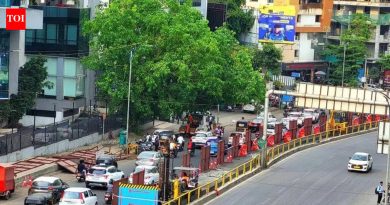 मेट्रोच्या वनाझ-चांदणी चौक एलिव्हेटेड एक्स्टेंशनच्या कामाला अखेर सुरुवात झाली