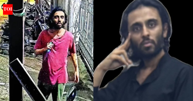 ‘पुस्तके, इंटरनेटच्या माध्यमातून आत्मकेंद्रित’: मुंबईजवळ सुरक्षा रक्षकांवर चाकूहल्ला करणाऱ्या अमेरिकेतून परतलेल्या व्यक्तीने जिहादच्या विचारसरणीवर कृत्य केले, मुख्यमंत्री देवेंद्र फडणवीस म्हणतात | पुणे बातम्या