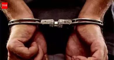कंपनीचे 23 लॅपटॉप चोरल्याप्रकरणी आयटी विश्लेषक अटक