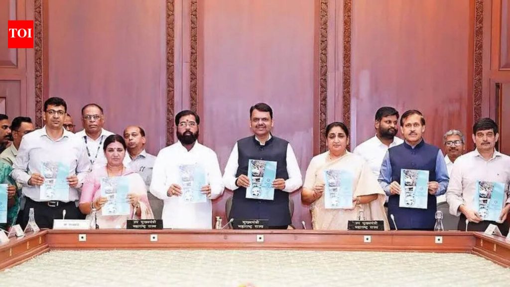 मुख्यमंत्र्यांचे पीएमआरडीएला सहा महिन्यांत संरचनात्मक आराखडा तयार करण्याचे निर्देश, दुहेरी बोगद्यासाठी एसपीव्ही उभारण्याचे निर्देश