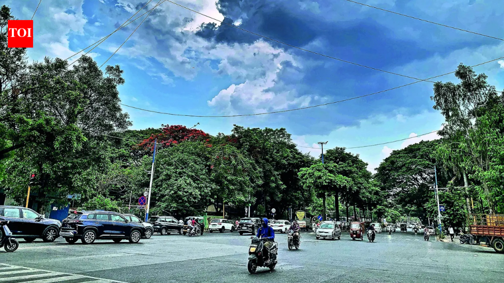 पुण्यात कडक उन्हामुळे डोळे, किडनी आणि आतड्यांच्या आजारांमध्ये वाढ झाली आहे