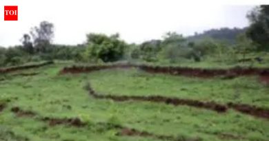 सरकार प्रस्तावित जमीन शीर्षक कायद्यांतर्गत सर्व भूखंडांसाठी मूल्यांकनासह प्रॉपर्टी कार्ड सादर करणार आहे