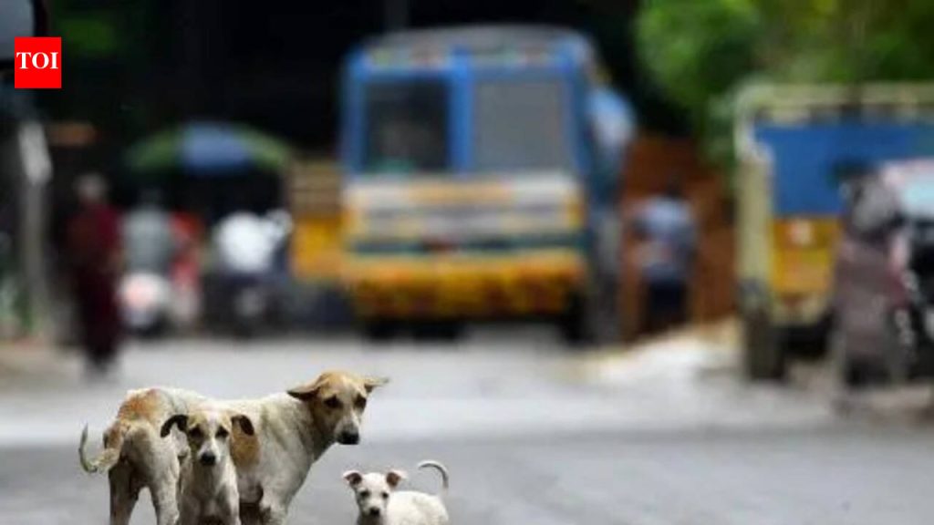 कुत्र्याच्या अंगावर गाडी चालवली; चालक बुक केला