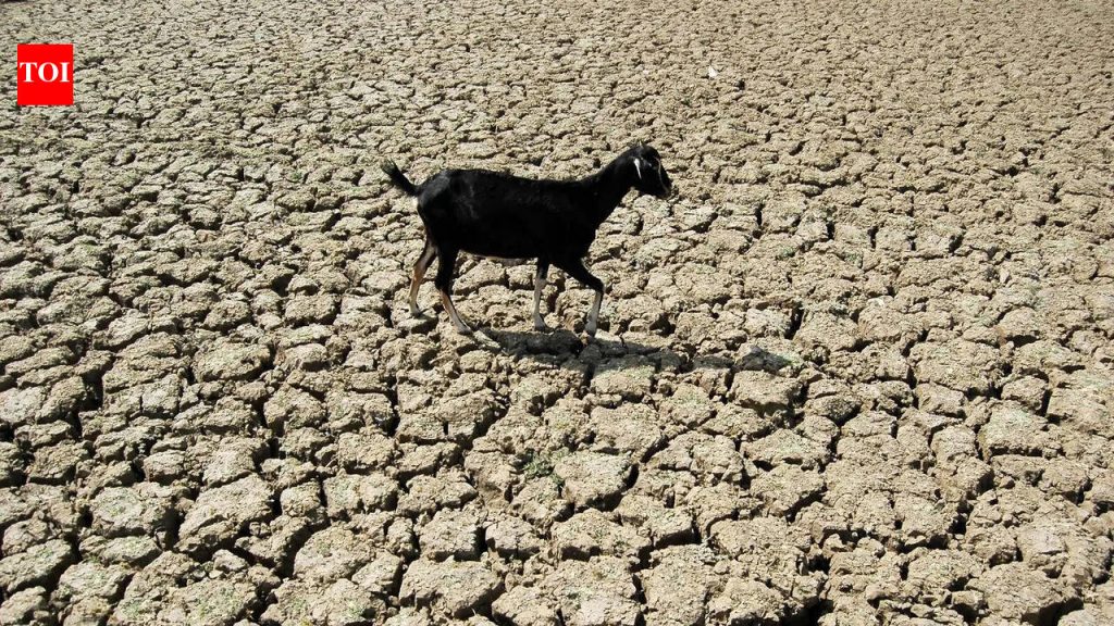 खरीप हंगामात एल निनोचा धोका वाढल्याने 181 महा ब्लॉक्स कृषी तणावासाठी अत्यंत असुरक्षित आहेत